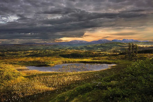 blåfjella naturresservat